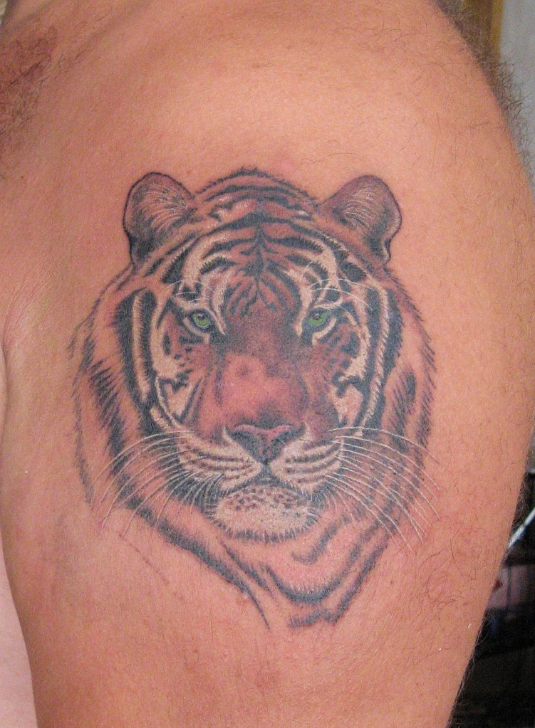 Фото и  значения татуировки Тигр. - Страница 2 Z_10c23df3